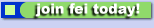 join fei today